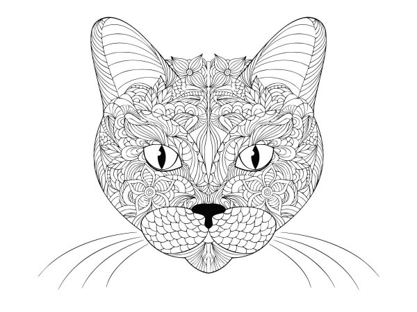 Мордочка кошки раскраска