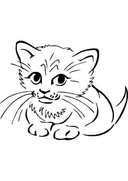 Кошка раскраска для детей