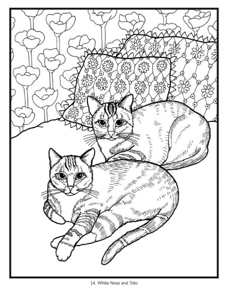 Раскраска. Котики