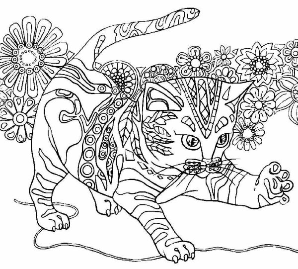 Раскраска. Котики