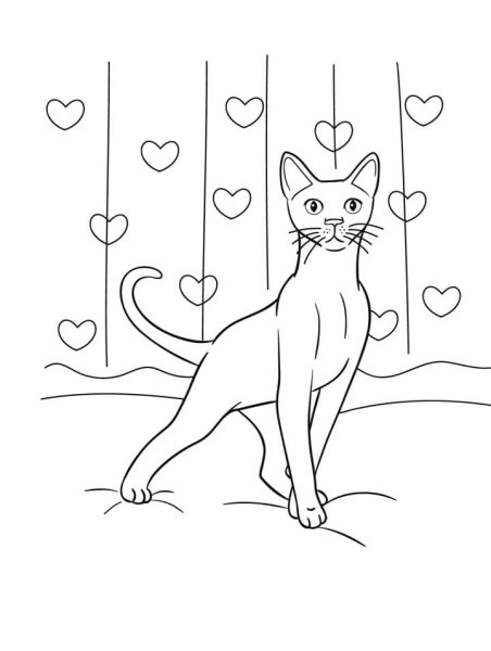 Раскраска котята ориентальные