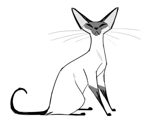 Ориентальная кошка