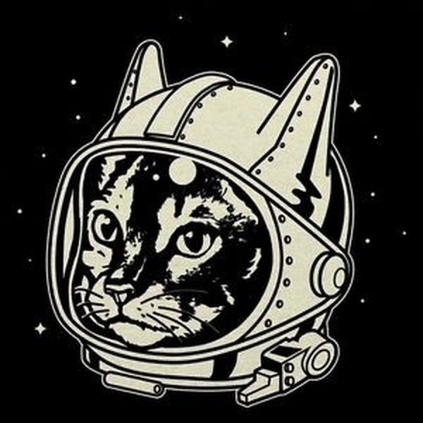Кот космонавт тату