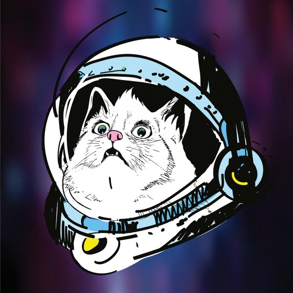 Кот в скафандре тату