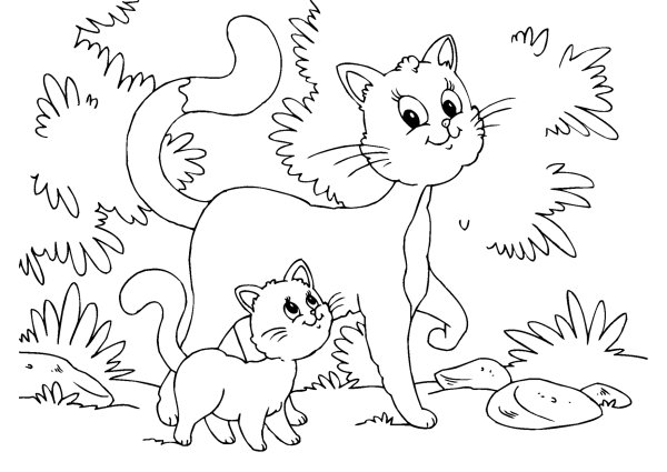 Кошки. Раскраска