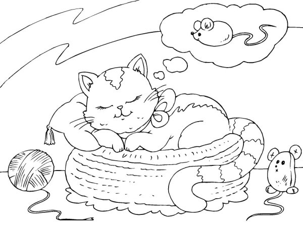 Котенок. Раскраска