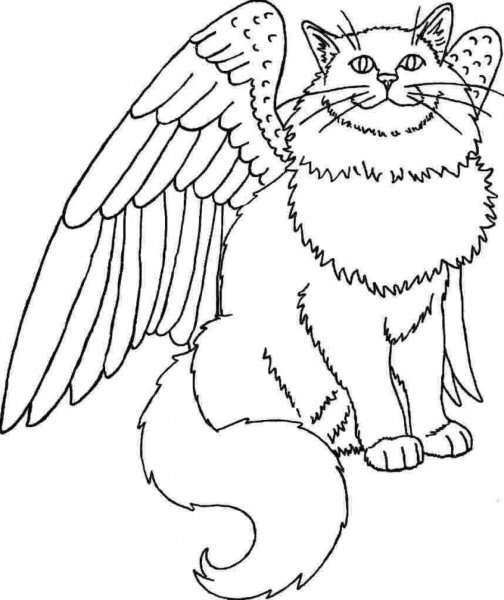 Раскраска. Котики