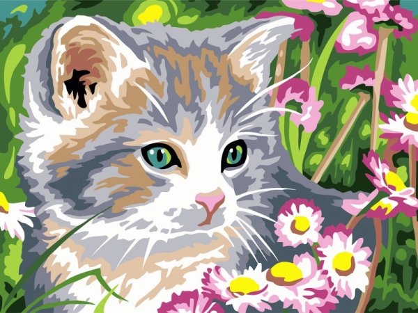 Рисование по номерам котенок