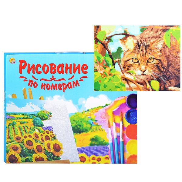 Холст для рисования по номерам рыжий кот