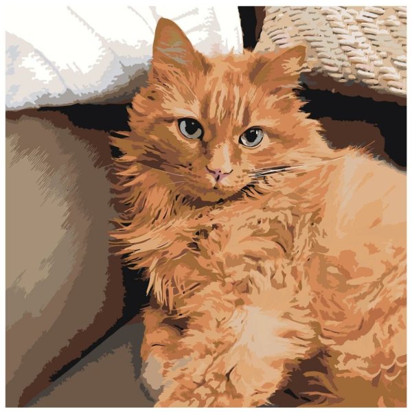 Рыжий кот