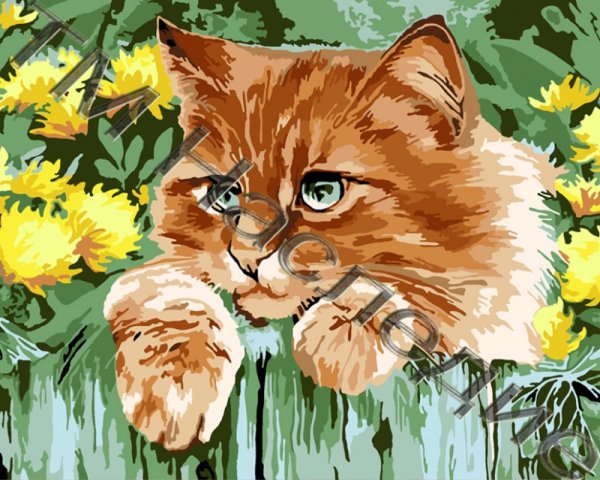 Картины по номерам раскраски коты