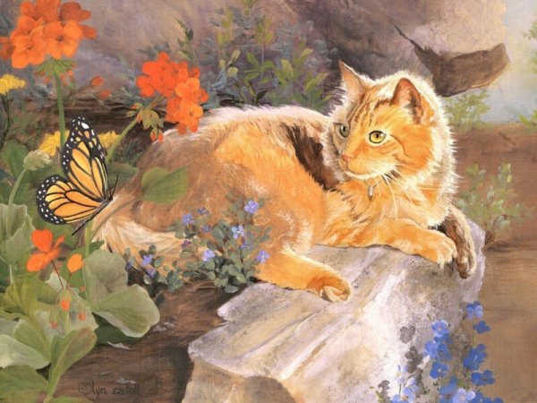 Paintboy «кот и его мечты»