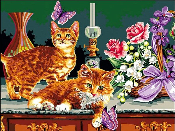 Котята по номерам