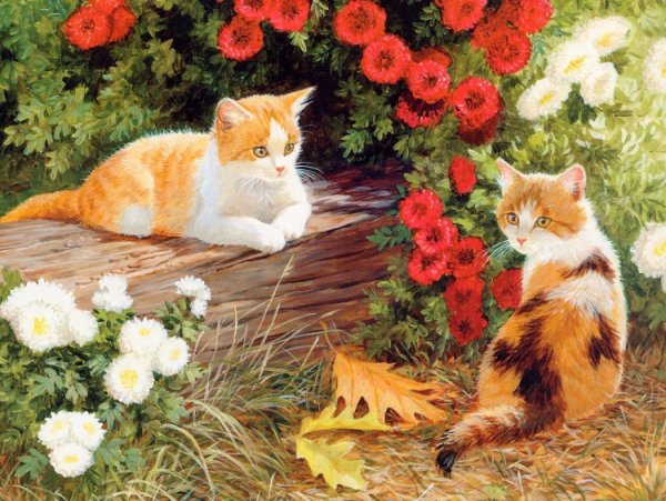 Алмазная мозаика котята в саду