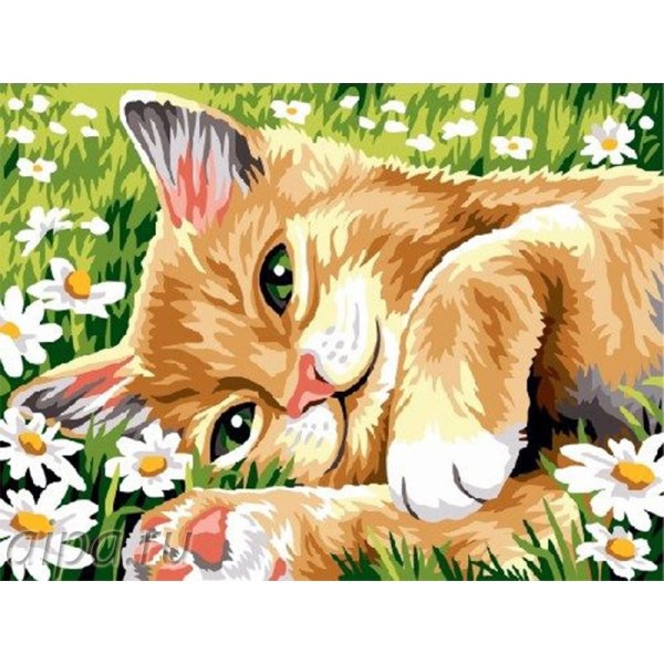 Рыжий котенок в ромашках
