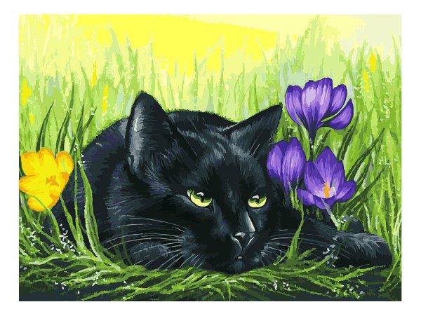 Ирина Гармашова коты