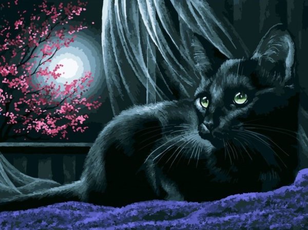 Алмазная мозаика Белоснежка кошки Ирины Гармашовой