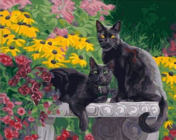 Пазлы с черной кошкой