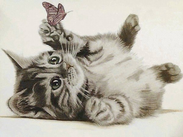 Картина по номерам серый котик