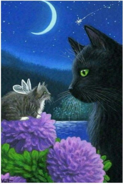 Спокойной ночи черный кот