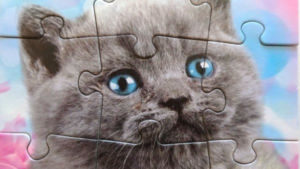 Пазл котенок для детей