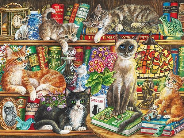 Котята на книжной полке