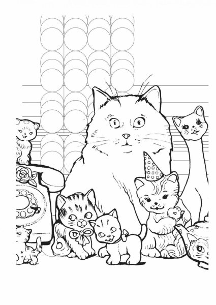 Раскраска породы кошек