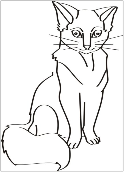 Раскраска домашняя кошка