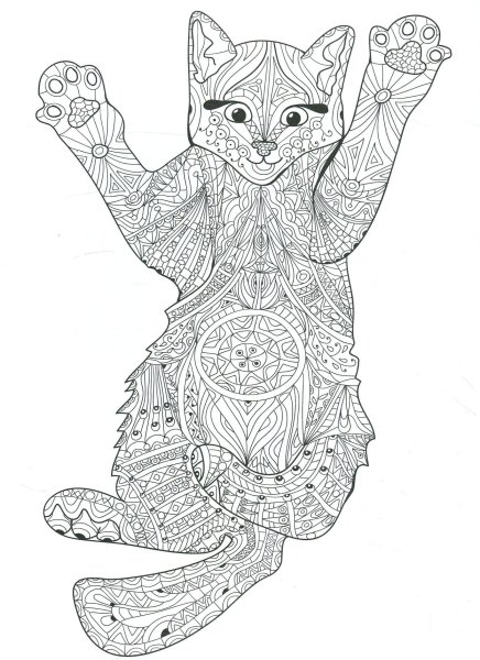 Раскраска. Котики