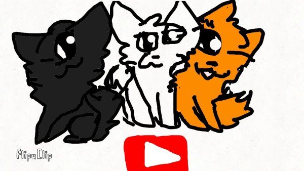 Коты ЮТУБЕРЫ рыжая