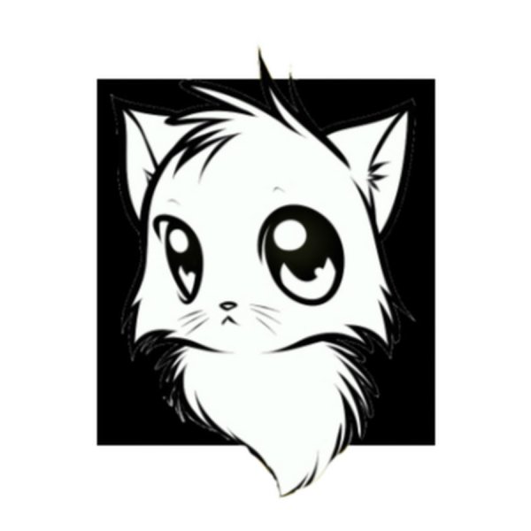 Коты ЮТУБЕРЫ чёрный кот