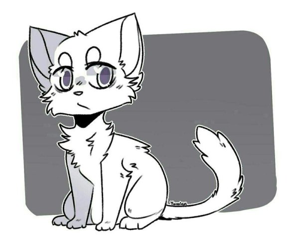 Коты Воители лайны