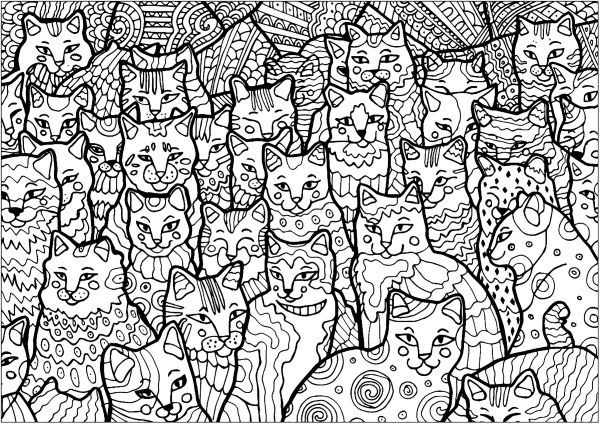Много котят разукрасить