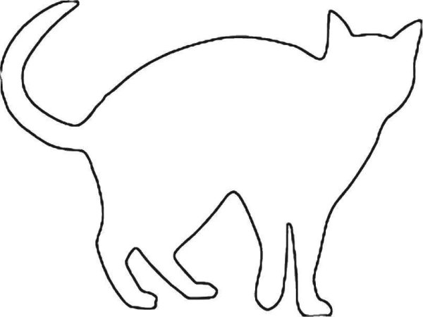 Контурное изображение кошки