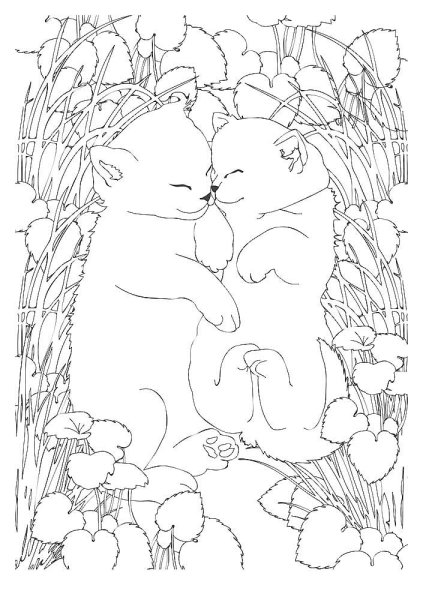 Кошки. Раскраска