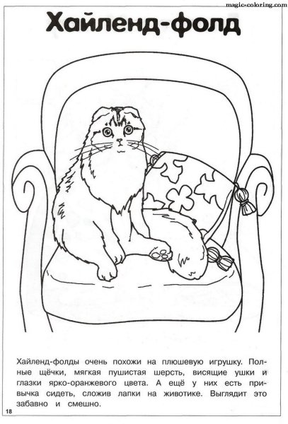 Бенгальский кот раскраска