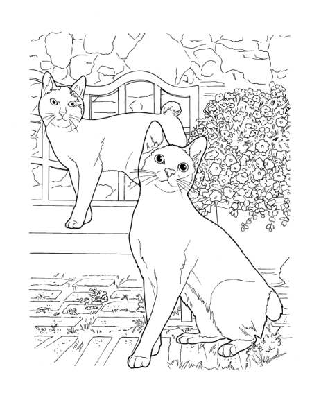 Раскраска кот кошка и котята