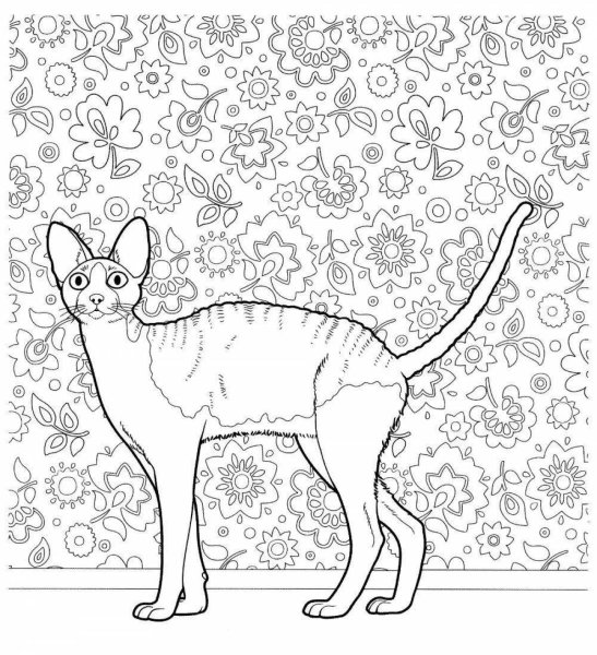 Бенгальская кошка