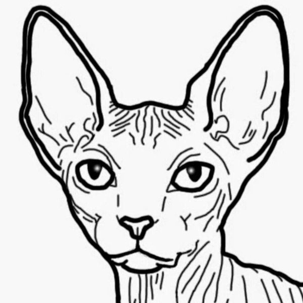 Раскраска семья кошек