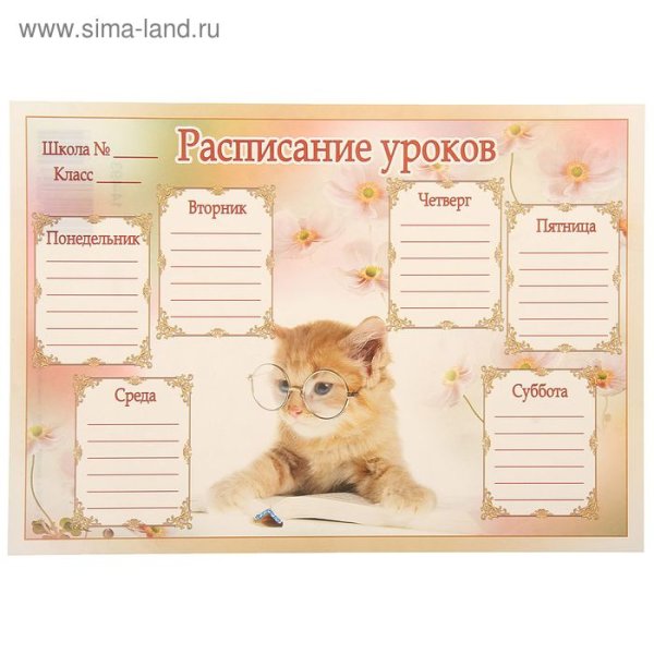 Расписание уроков с котятами