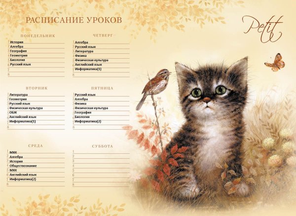 Расписание уроков с котами