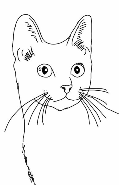 Портрет кошки раскраска