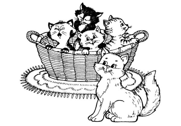 Котенок. Раскраска