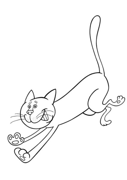 Кот Рудольф раскраска