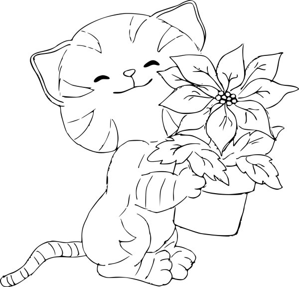 Раскраска кот