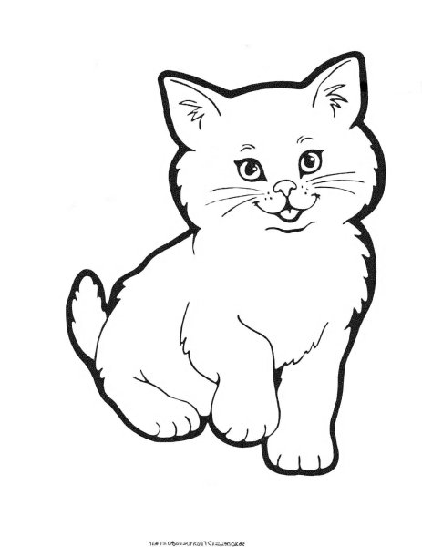 Раскраска кот