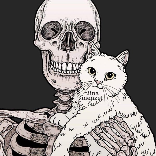 Скелет с котиком