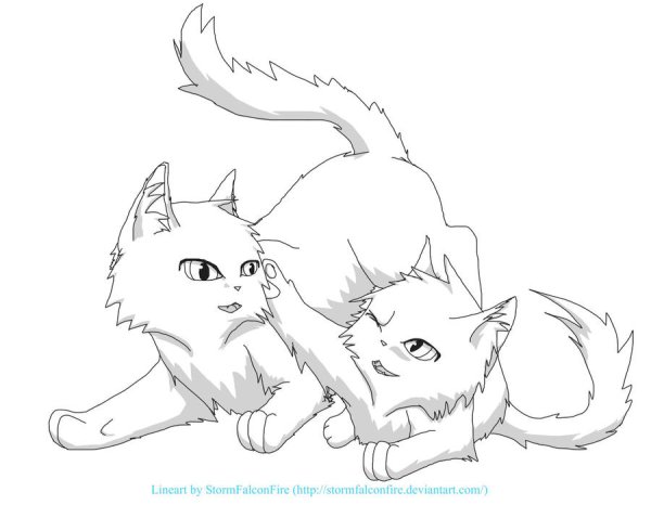 Коты Воители лайны братья