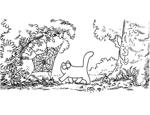 Кот Саймона. Раскраска