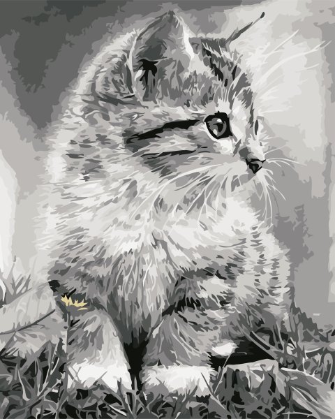 Котенок карандашом